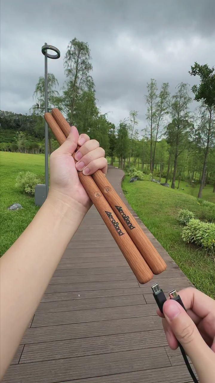 PocketDrum 2 Max